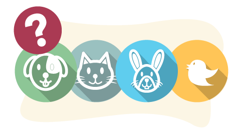 guess-animals